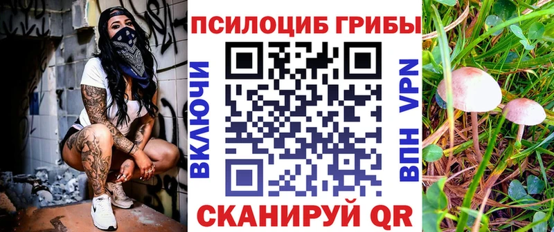 Псилоцибиновые грибы Cubensis  мега ONION  Новосибирск 