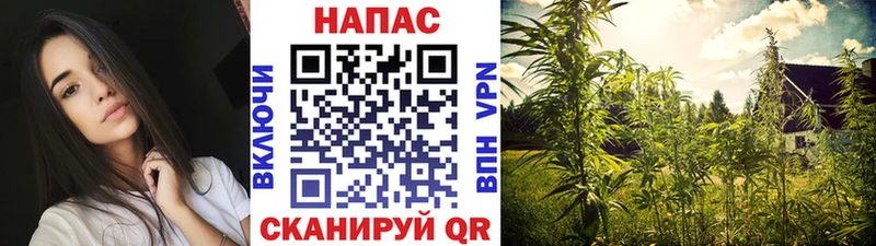 Бошки марихуана AK-47  наркотики  Новосибирск 